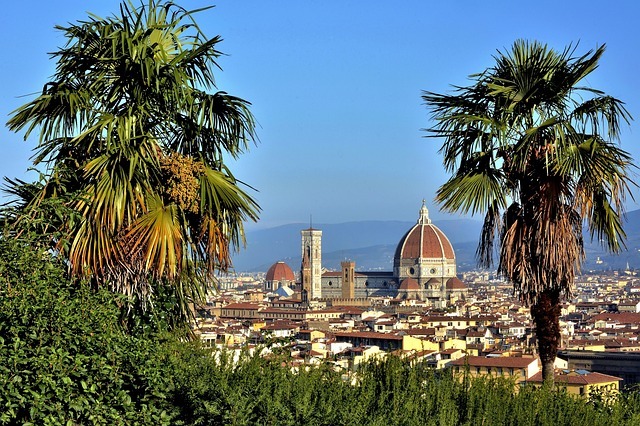 City of Florence from a hill.