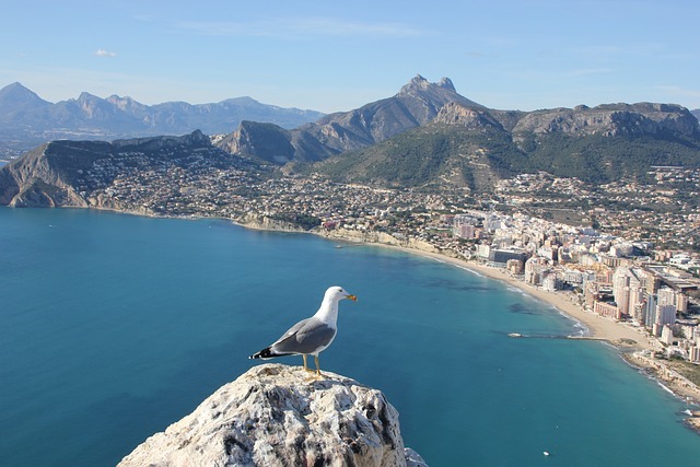 Aerial view of the Alicante coast